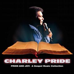 Pride & Joy: Gospel Music Coll (CD)