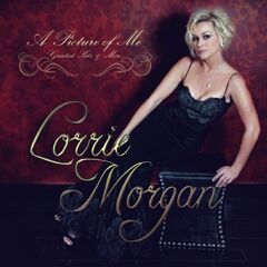 A Picture Of Me: Greatest Hits & More (CD)