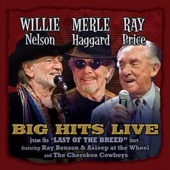 Big Hits Live From 