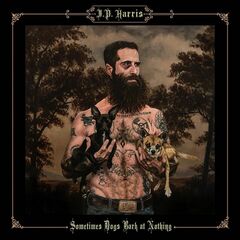 Sometimes Dogs Bark At Nothing (CD)