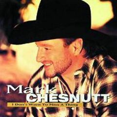 I Don't Want To Miss A Thing (CD)
