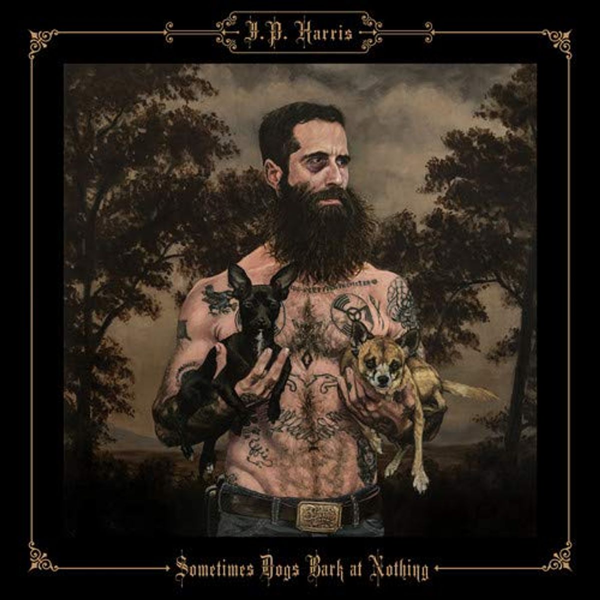 Sometimes Dogs Bark At Nothing (LP)
