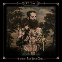 Sometimes Dogs Bark At Nothing (LP)