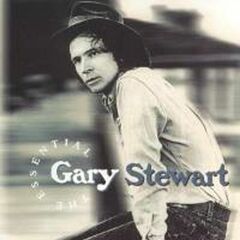 The Essential (CD)
