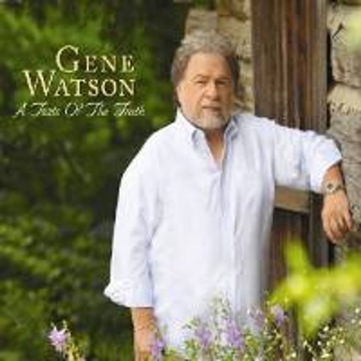 Taste Of The Truth (CD)