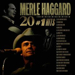 20 #1 Hits (CD)