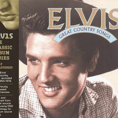 Great Country Songs (CD)