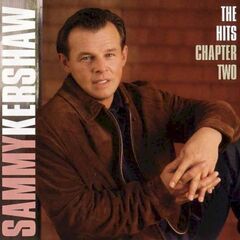 Hits Chapter 2 (CD)
