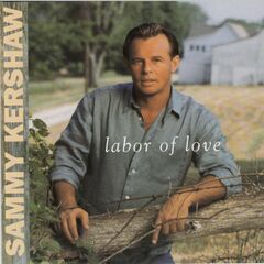 Labor Of Love (CD)
