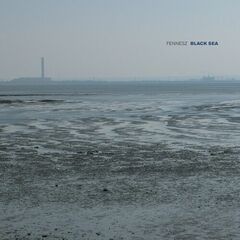 Black Sea (LP)