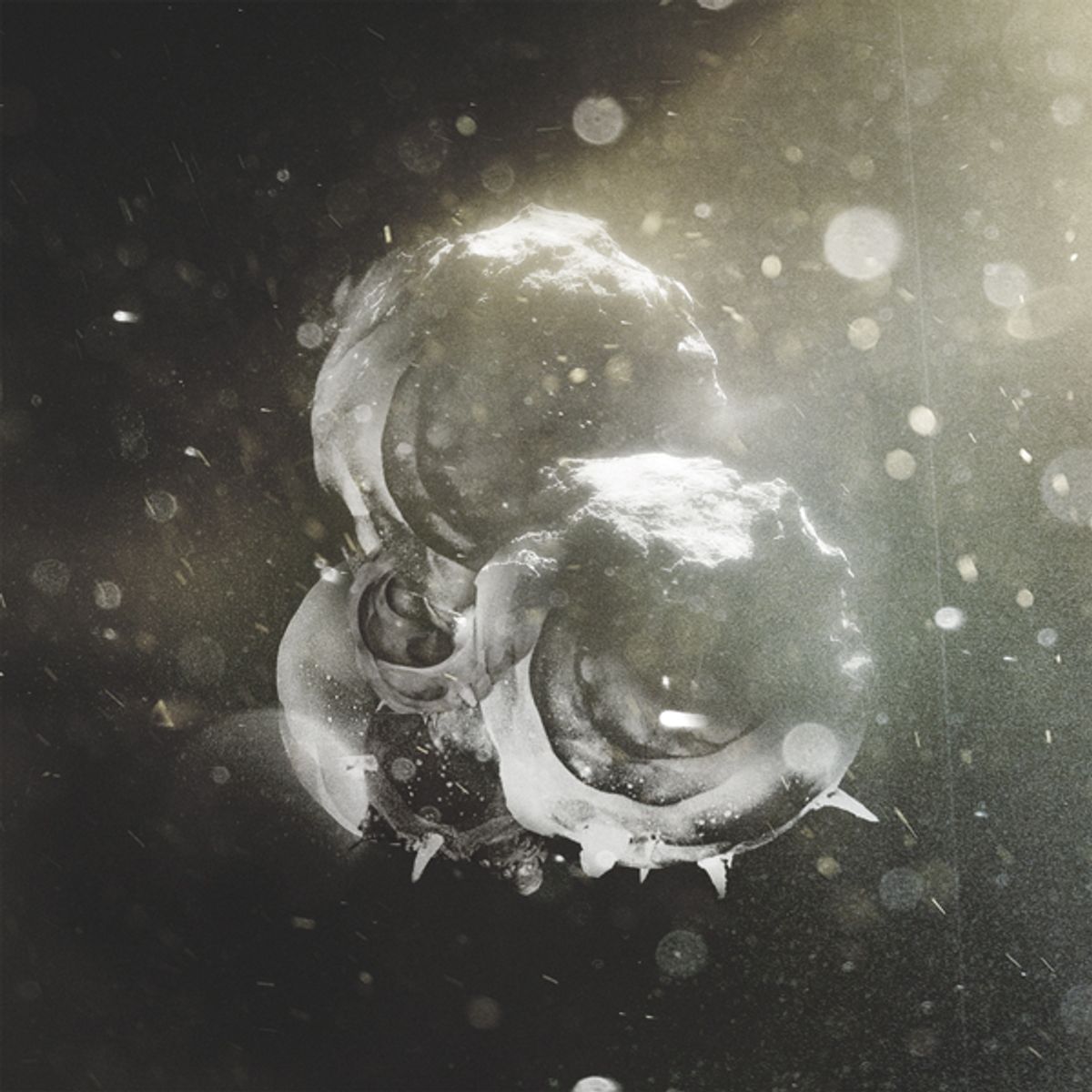 Vigils (CD)