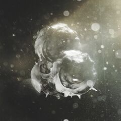 Vigils (CD)
