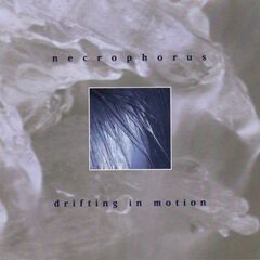 Drifting In Motion (CD)