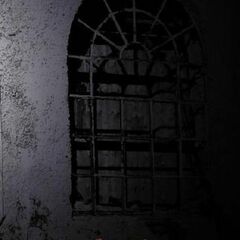 Crest 218 / Nova Stereometria Doliorum Vinariorum [Import] (CD)