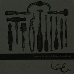 A Simple Procedure [Limited Edition] (CD)