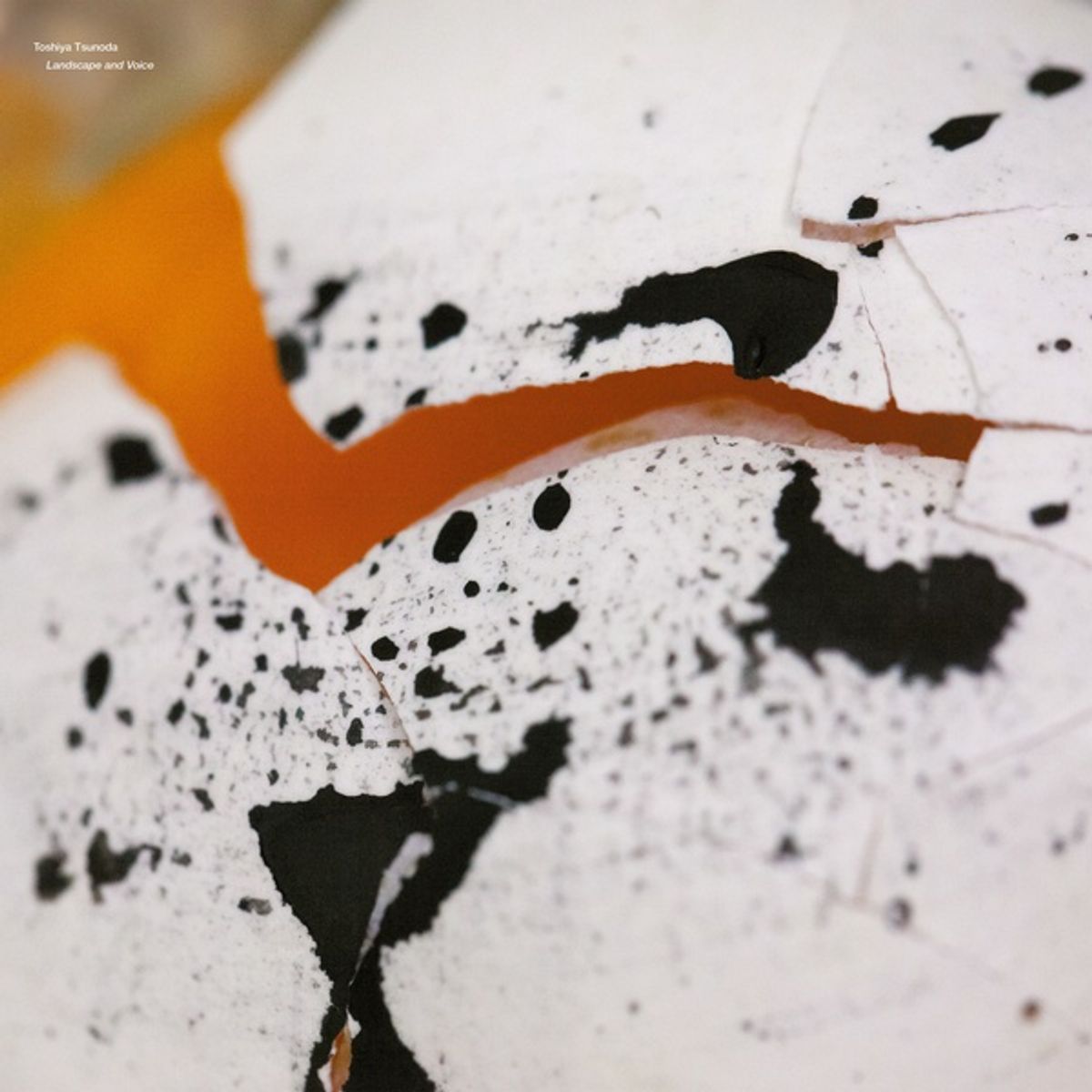 Landscape & Voice (LP)