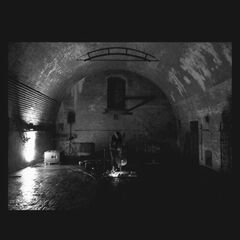 Devolving Trust (CD)