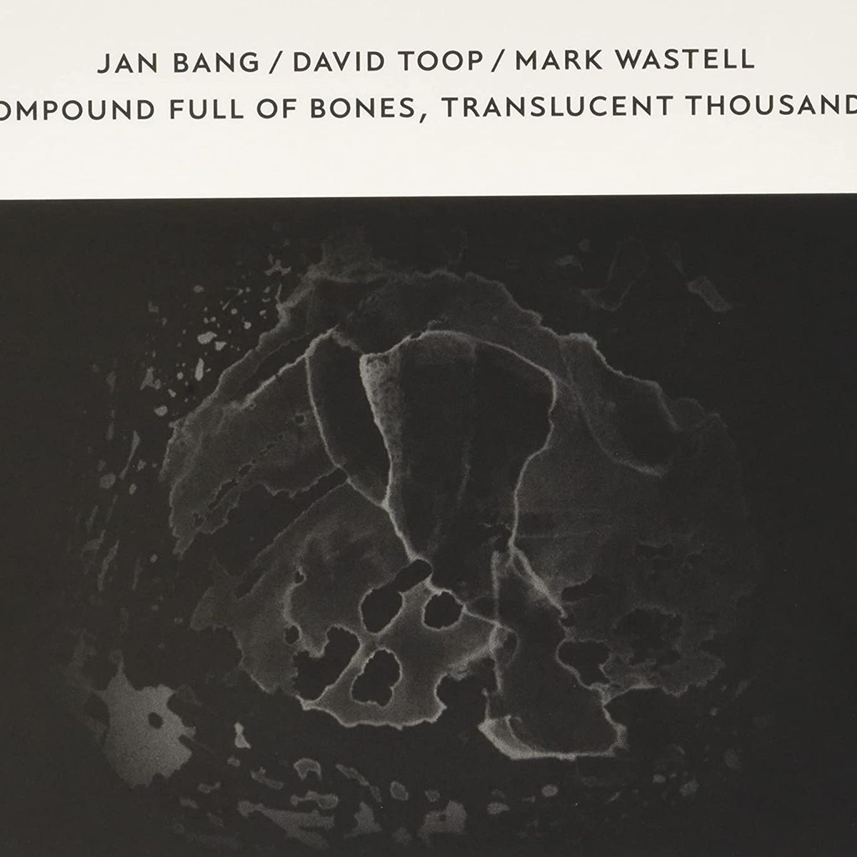 Compound Full Of Bones, Translucent Thousands (CD)