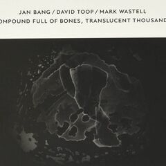 Compound Full Of Bones, Translucent Thousands (CD)