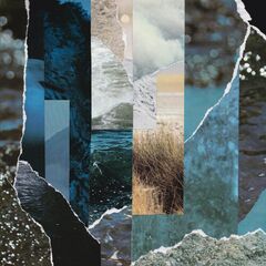 Dreams Drenched In Static (LP)