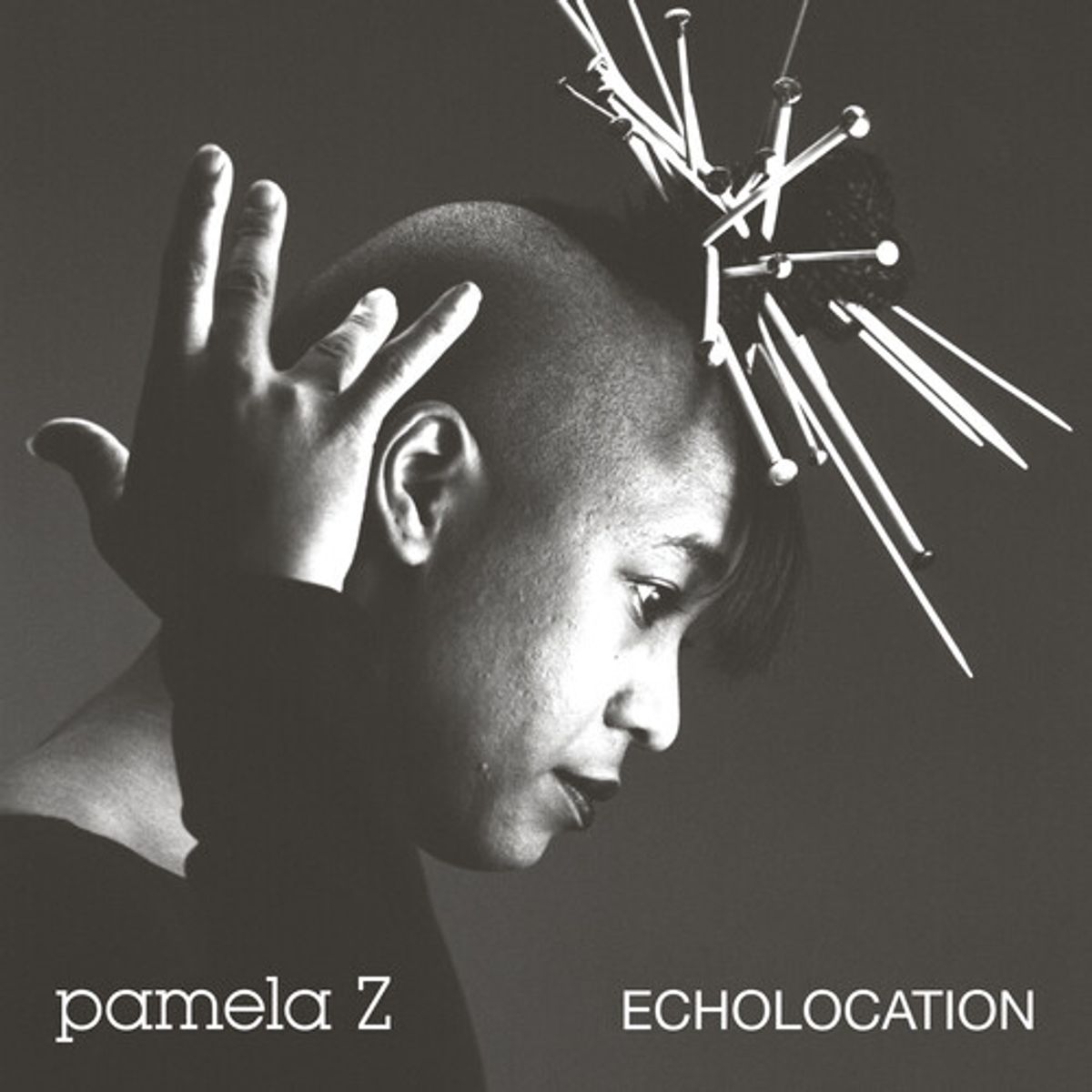Echolocation [Natural Swirl Vinyl] (LP)