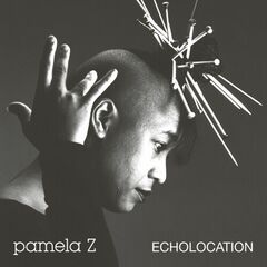 Echolocation [Natural Swirl Vinyl] (LP)