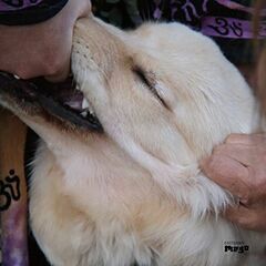 It's Hard For Me To Say I'm Sorry (CD)