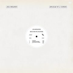Because Of A Flower (LP)