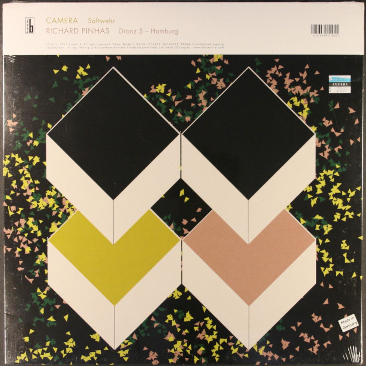Camera / Richard Pinhas [RSD] (12)