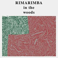 In The Woods (LP)