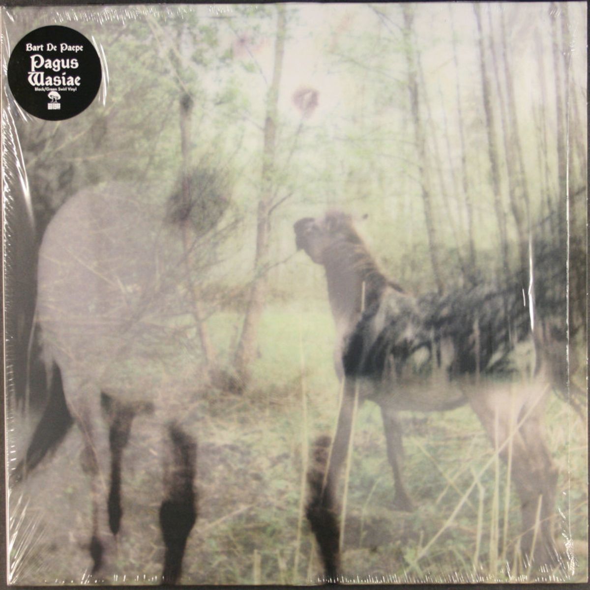 Pagus Wasiae [Green and Black Swirl Vinyl] (LP)