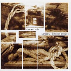A Perfect Pain (LP)
