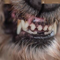 World Eater (CD)
