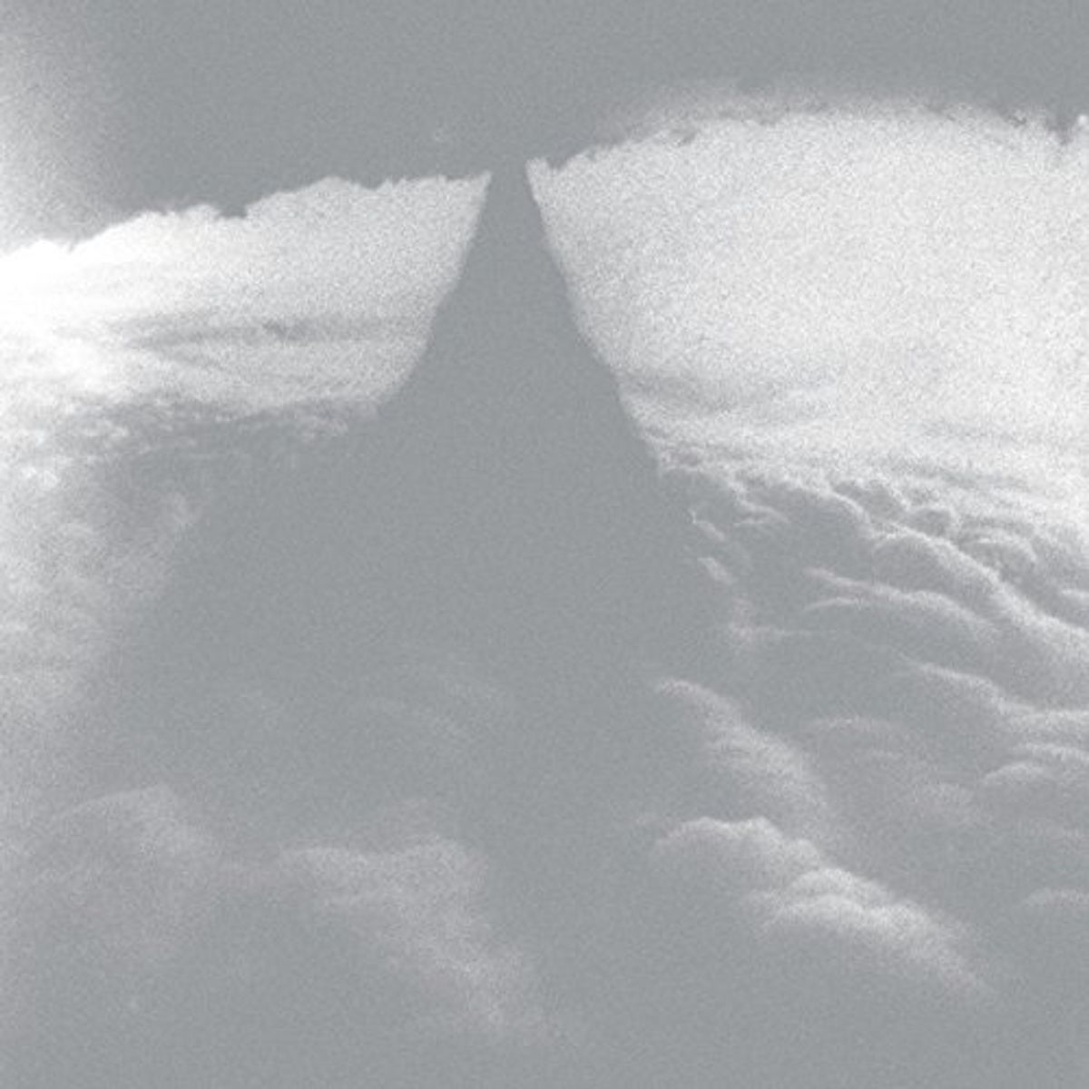 Cruel Optimism (LP)
