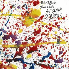 At Swim 2 Birds (LP)