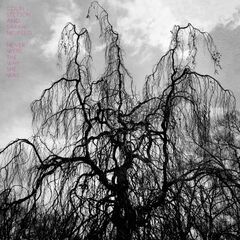 Never Were The Way She Was (LP)