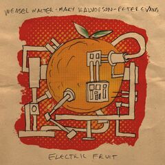 Electric Fruit (CD)