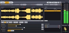 Acon Digital AudioLava 2 Audio Cleaning Software