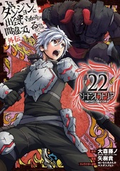 Is It Wrong to Try to Pick Up Girls in a Dungeon? Gaiden Sword Oratoria (22) (BOOK)
