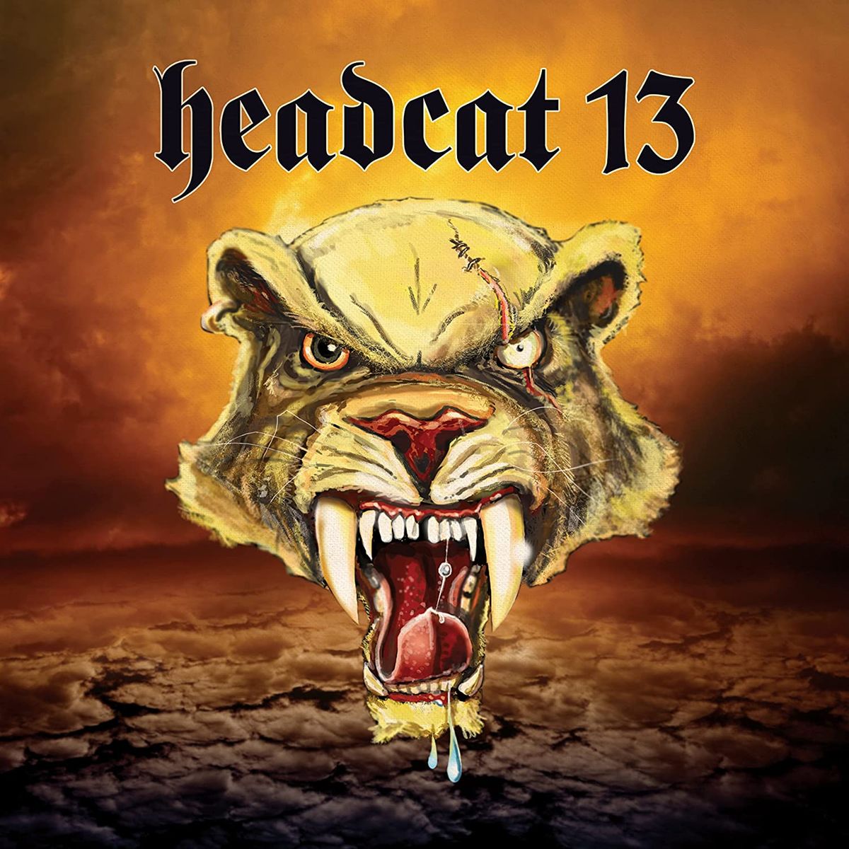 Headcat 13 (CD)