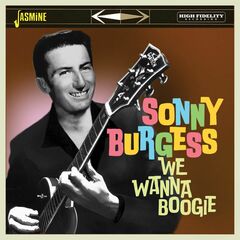 We Wanna Boogie (CD)