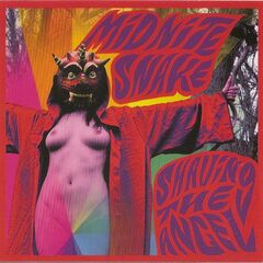 Shaving the Angel (CD)