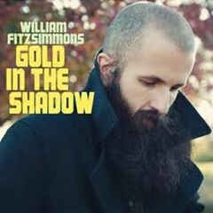 Gold In The Shadow (CD)