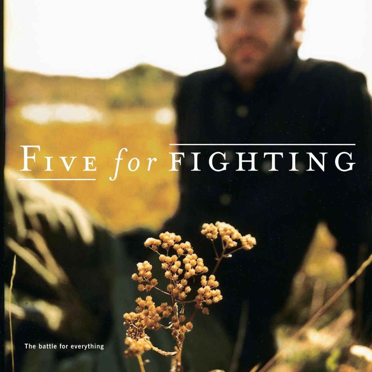 The Battle For Everything [Limited Edition] (CD)