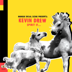 Broken Social Scene Presents: Kevin Drew - Spirit If... (CD)