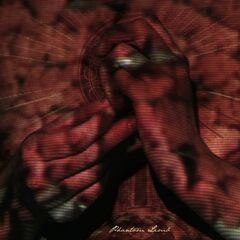 Phantom Limb (CD)