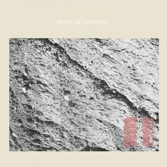 Goodbye (CD)