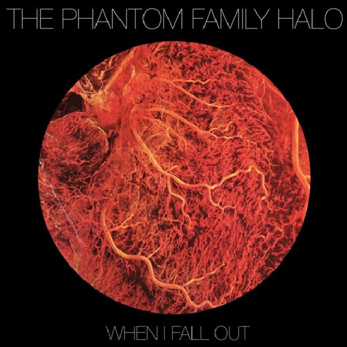 When I Fall Out (CD)