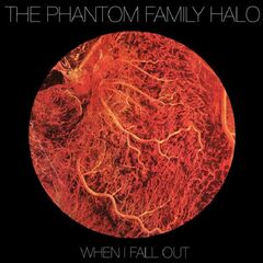 When I Fall Out (CD)