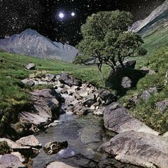 The Beta Band [Deluxe Edition] (LP)